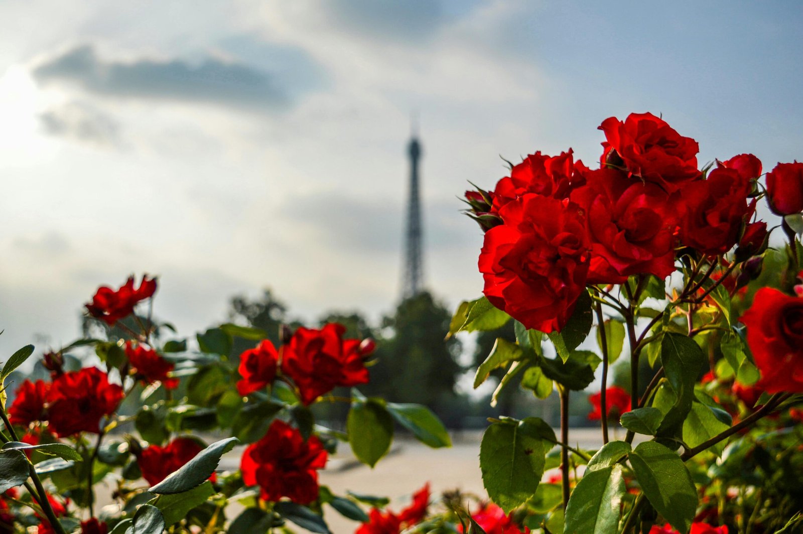 Best country to visit in Europe: A vibrant scene representing diverse European travel experiences and top destinations.
