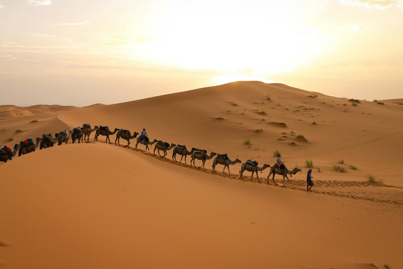 A camel caravan travels across the golden Erg Chebbi sand dunes at sunset on a Morocco desert tour from Marrakech.