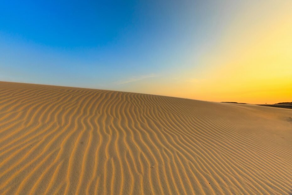 Golden sand dunes of Bahrain's Sakhir desert at sunset, featuring elements of adventure and tranquility like a distant 4x4 or camels, perfect for an unforgettable tour experience.