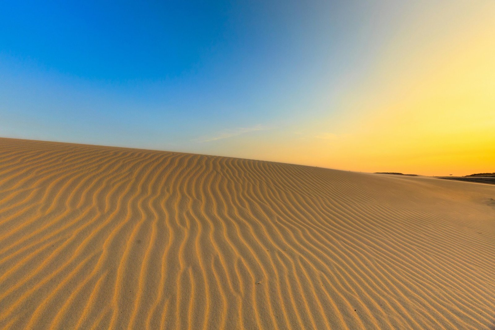Golden sand dunes of Bahrain's Sakhir desert at sunset, featuring elements of adventure and tranquility like a distant 4x4 or camels, perfect for an unforgettable tour experience.