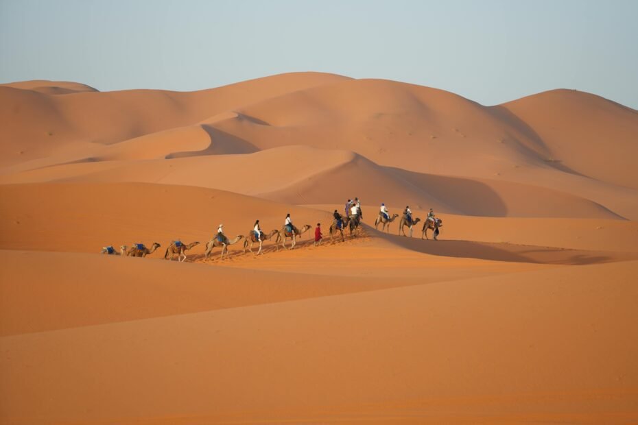 A group on a camel trek at sunset through the golden Erg Chebbi sand dunes, a key experience on Sahara desert trips from Marrakech, Morocco.