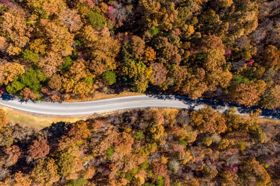 Scenic view of a winding road through a forest during peak fall foliage, representing the best places to travel to in the fall.