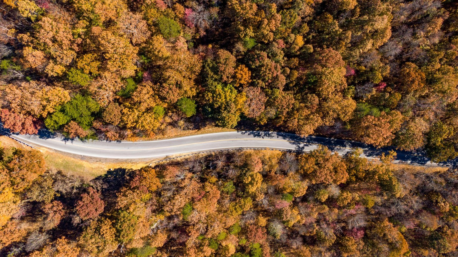 Scenic view of a winding road through a forest during peak fall foliage, representing the best places to travel to in the fall.