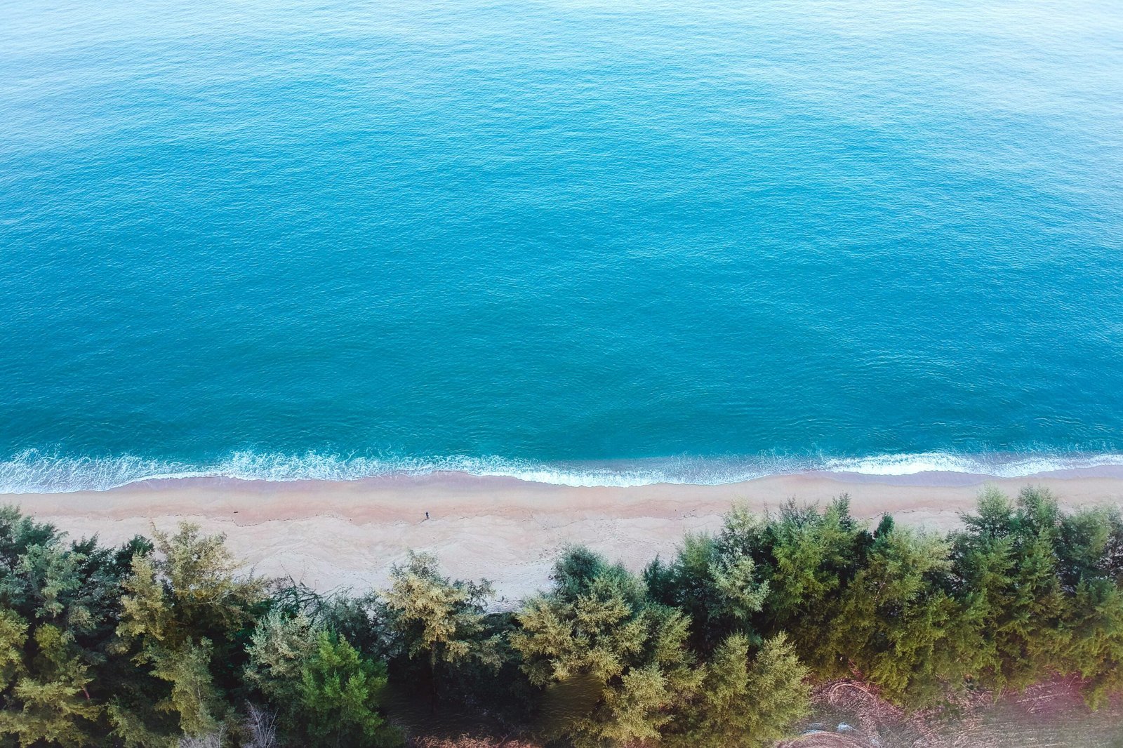 Sunlit tropical beach with clear turquoise water, representing a beautiful and cheap place to travel without a passport.