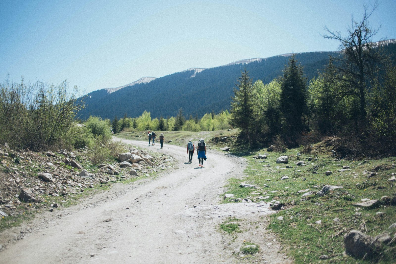 Wanderlust Twins, two sisters, hiking in a scenic destination, promoting travel fitness, health, and wellness for mindful adventure.
