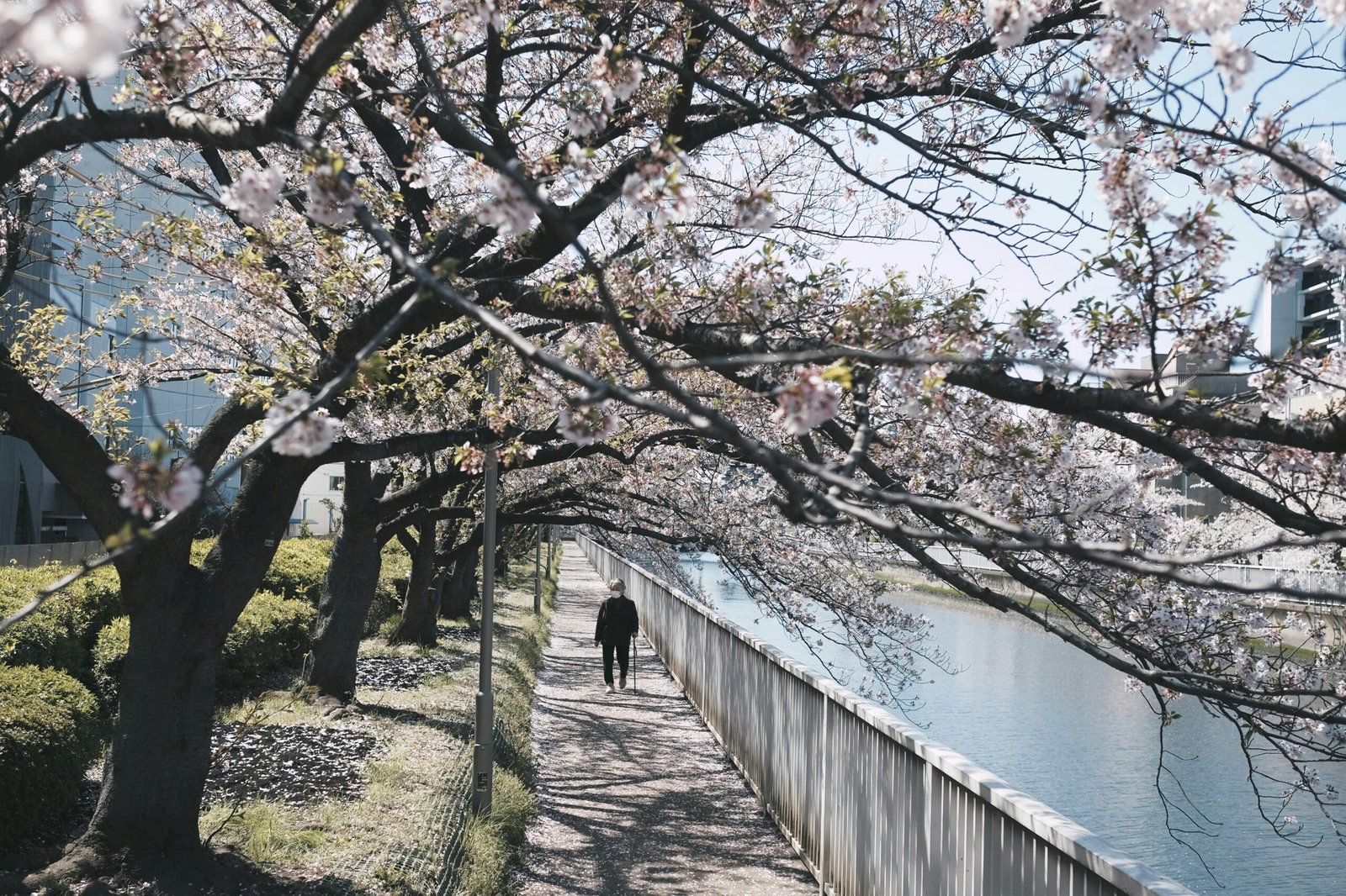Ideal April travel destination featuring beautiful spring scenery, mild weather, and fewer crowds, perfect for a memorable shoulder season vacation and a relaxing spring getaway.