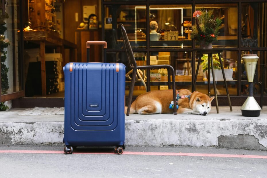 Dedicated dog travel suitcase packed with organized essentials like food, toys, and bowls, ensuring a happy and stress-free pet adventure.