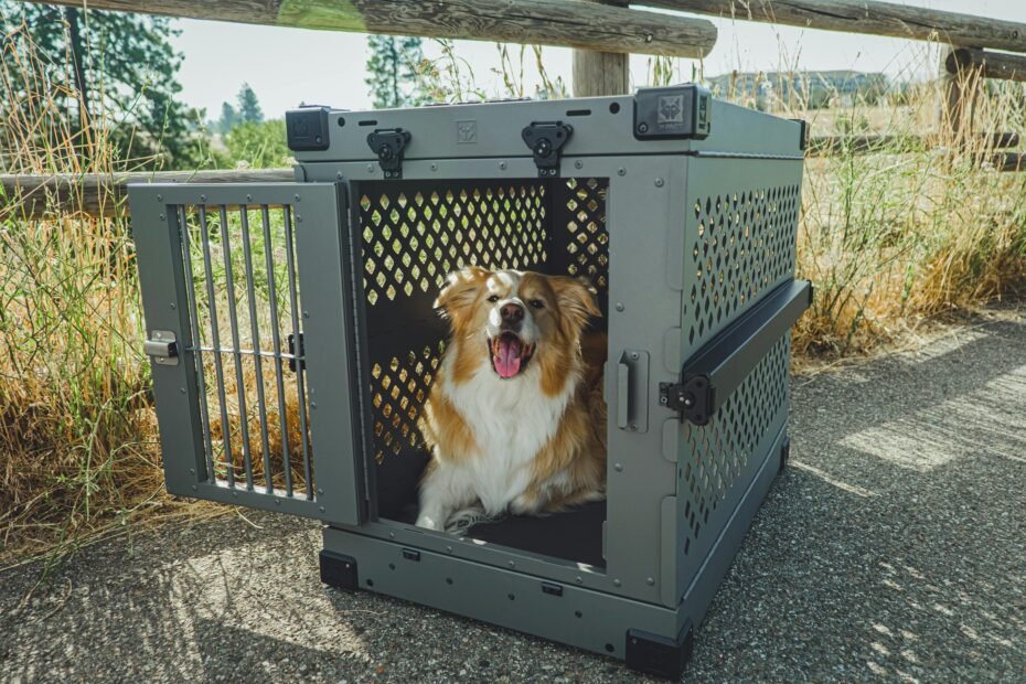 A happy dog peacefully resting on a portable and durable travel dog bed, set in a beautiful outdoor adventure scene, emphasizing comfort, security, and a familiar space for pets during travel.