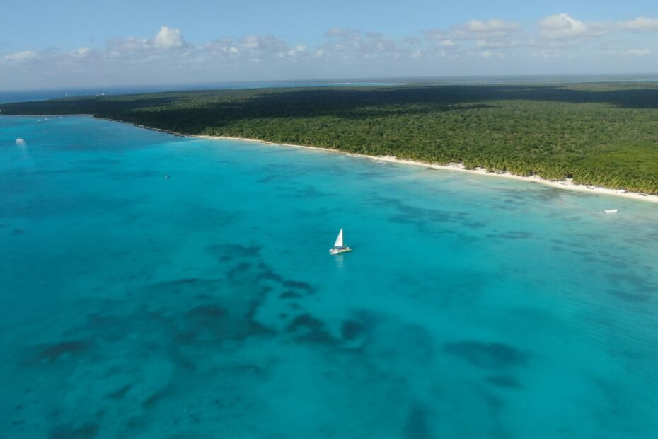 Beautiful tropical beach in a U.S. territory, perfect for a passport-free vacation for U.S. citizens, featuring clear turquoise waters, white sand, and lush palm trees.