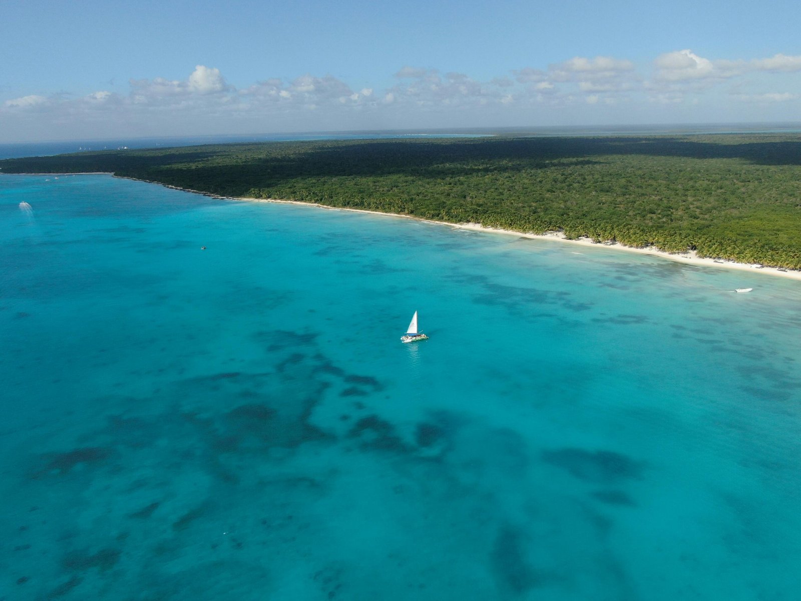 Beautiful tropical beach in a U.S. territory, perfect for a passport-free vacation for U.S. citizens, featuring clear turquoise waters, white sand, and lush palm trees.