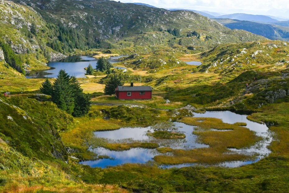 Happy travelers exploring diverse land destinations, enjoying a seamless and immersive guided vacation experience offered by McCoy Travel Agency Land.