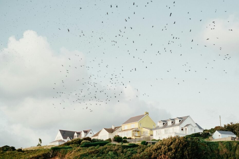 Mosquito flying above a map or landscape, visually representing the varying travel distances and flight ranges of different species like Aedes, Culex, and Salt Marsh mosquitoes, relevant for pest control.