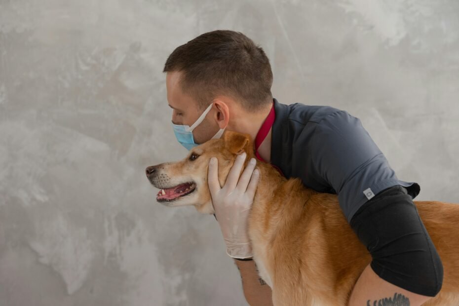 Veterinarian at Travelers Rest Animal Hospital performing a compassionate wellness check-up on a happy pet, offering top-tier veterinary care.