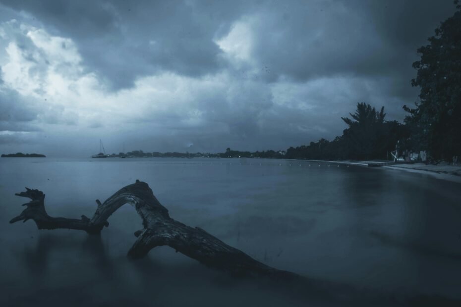 Idyllic Caribbean beach in Jamaica with clear turquoise water, white sand, and palm trees under a sunny sky, representing the best time for a relaxing tropical vacation.