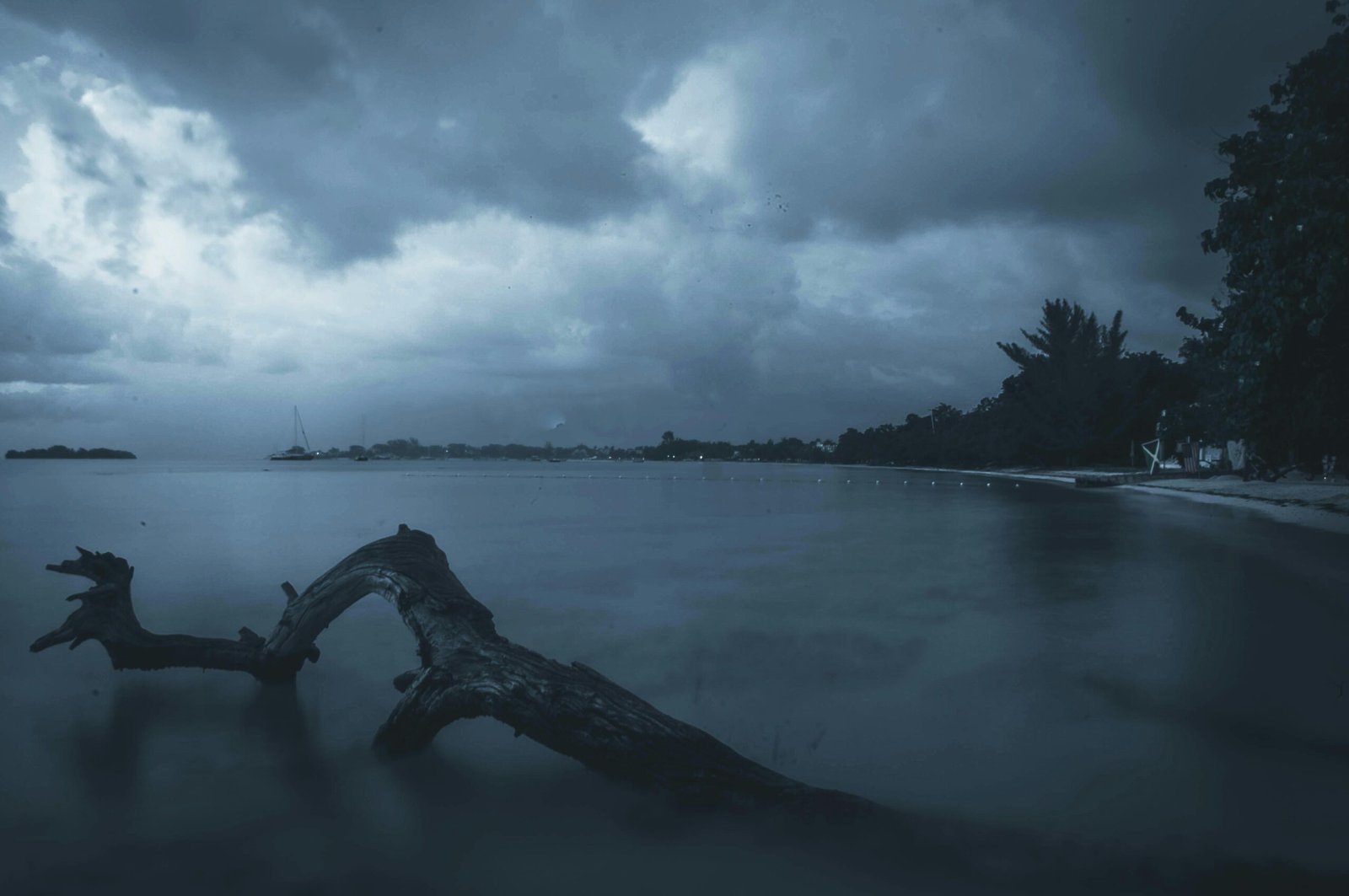 Idyllic Caribbean beach in Jamaica with clear turquoise water, white sand, and palm trees under a sunny sky, representing the best time for a relaxing tropical vacation.