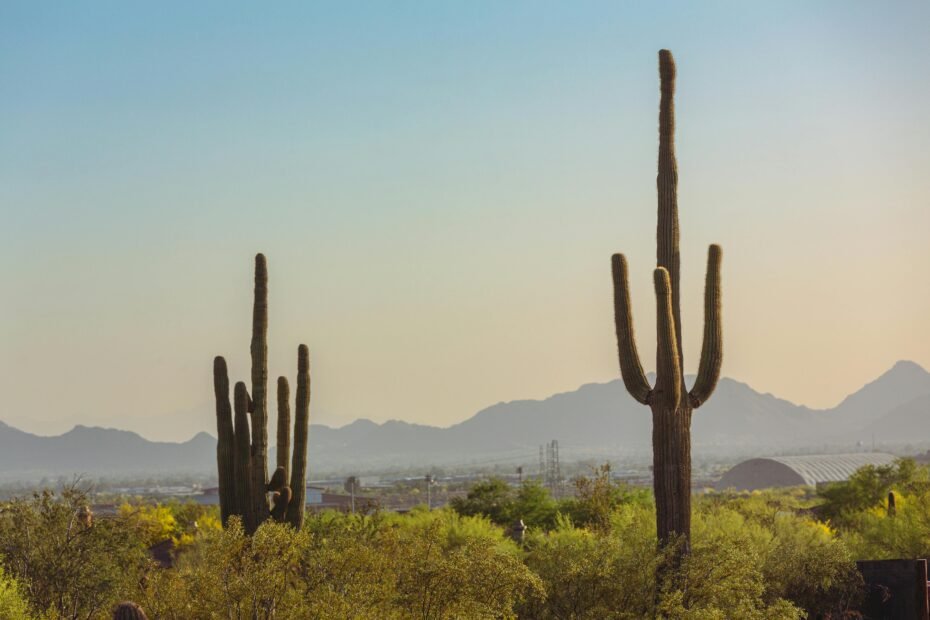 Diverse Arizona landscape featuring contrasting desert and mountain scenery, illustrating varied seasonal travel and adventure opportunities.