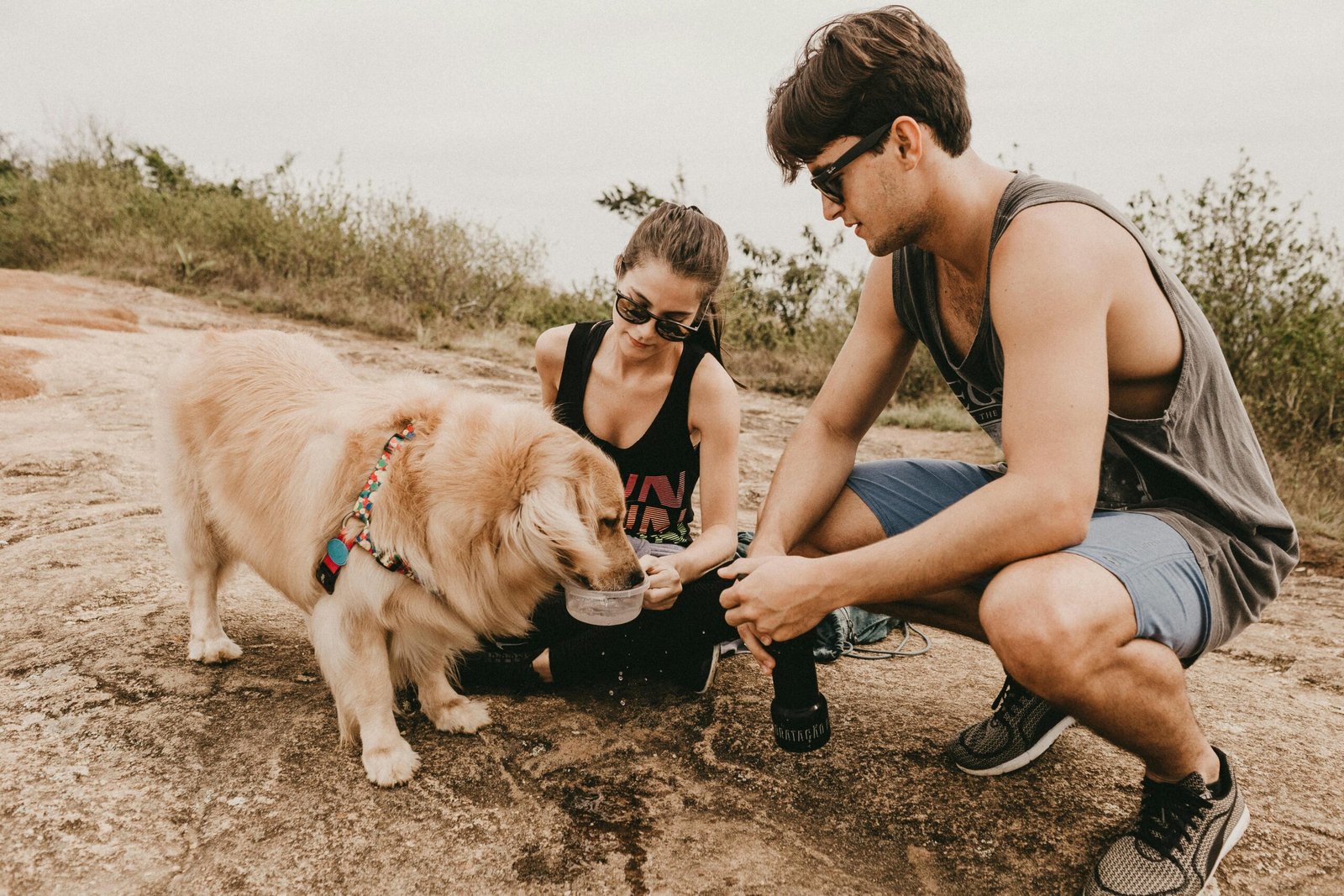Happy dog hydrating from a portable travel dog bowl on a scenic hiking trail, ideal for outdoor adventures and pet-friendly trips.