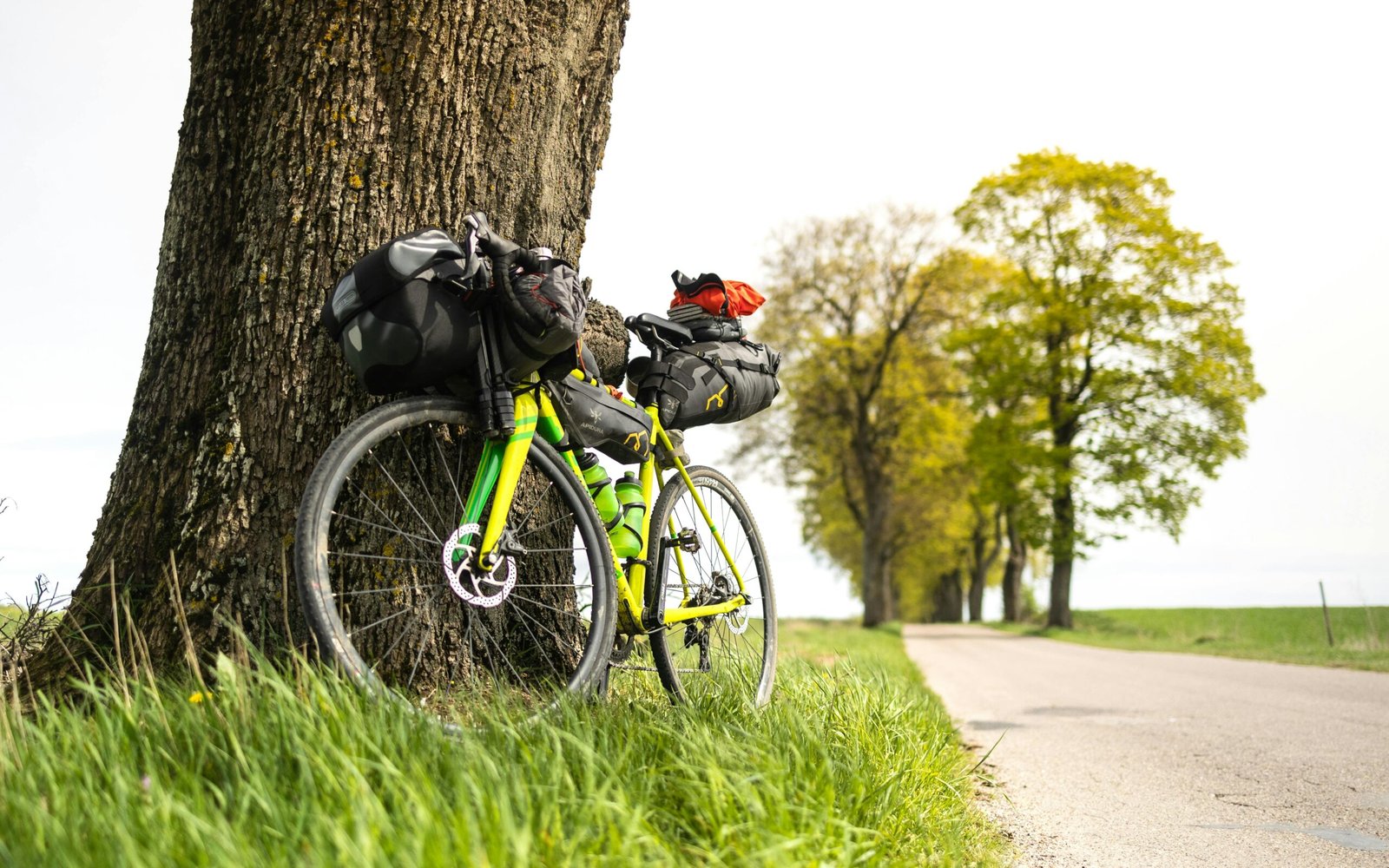A modern bicycle loaded with essential travelling bags for bike, including panniers, a large saddle bag, and a frame bag, set on a scenic bikepacking route. This image highlights optimal bike luggage solutions for adventure cycling and comfortable multi-day bike touring.