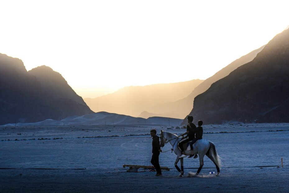 A rider on a healthy endurance horse traveling along a scenic natural trail, symbolizing long-distance horse travel, daily mileage, and the stamina required for multi-day journeys.