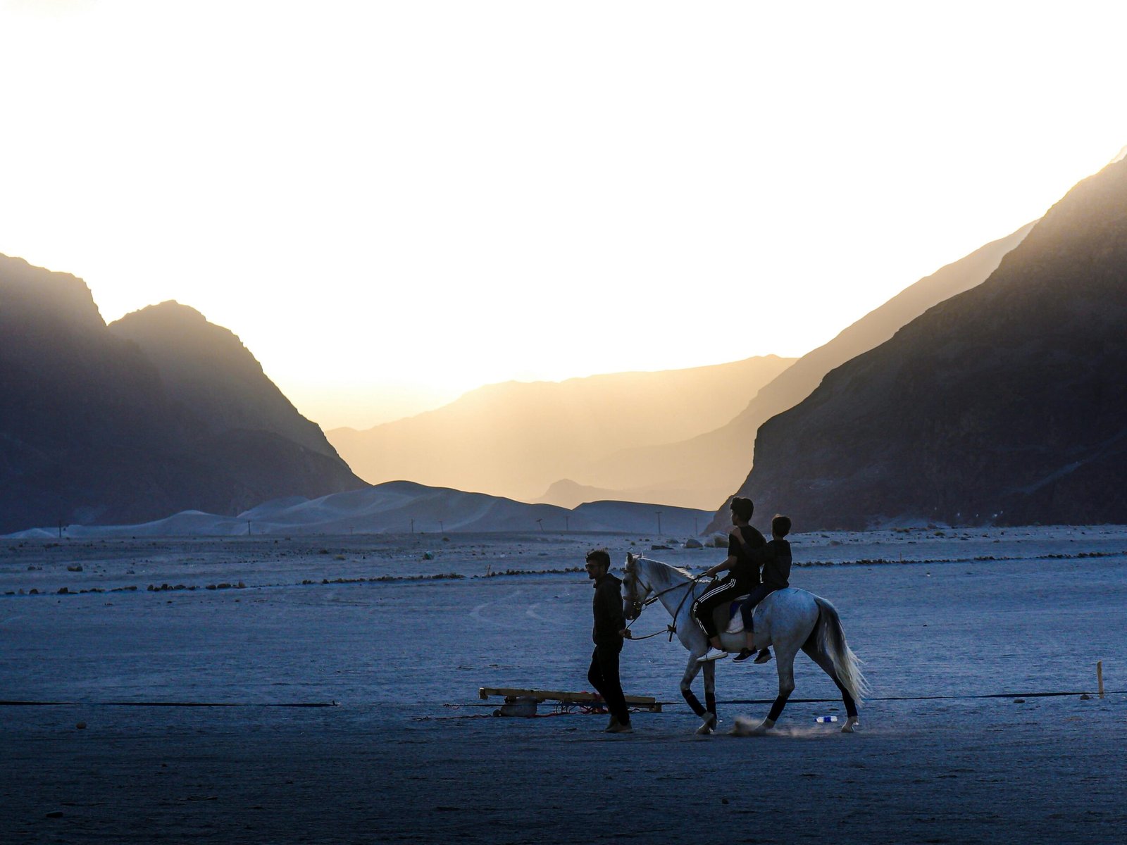 A rider on a healthy endurance horse traveling along a scenic natural trail, symbolizing long-distance horse travel, daily mileage, and the stamina required for multi-day journeys.