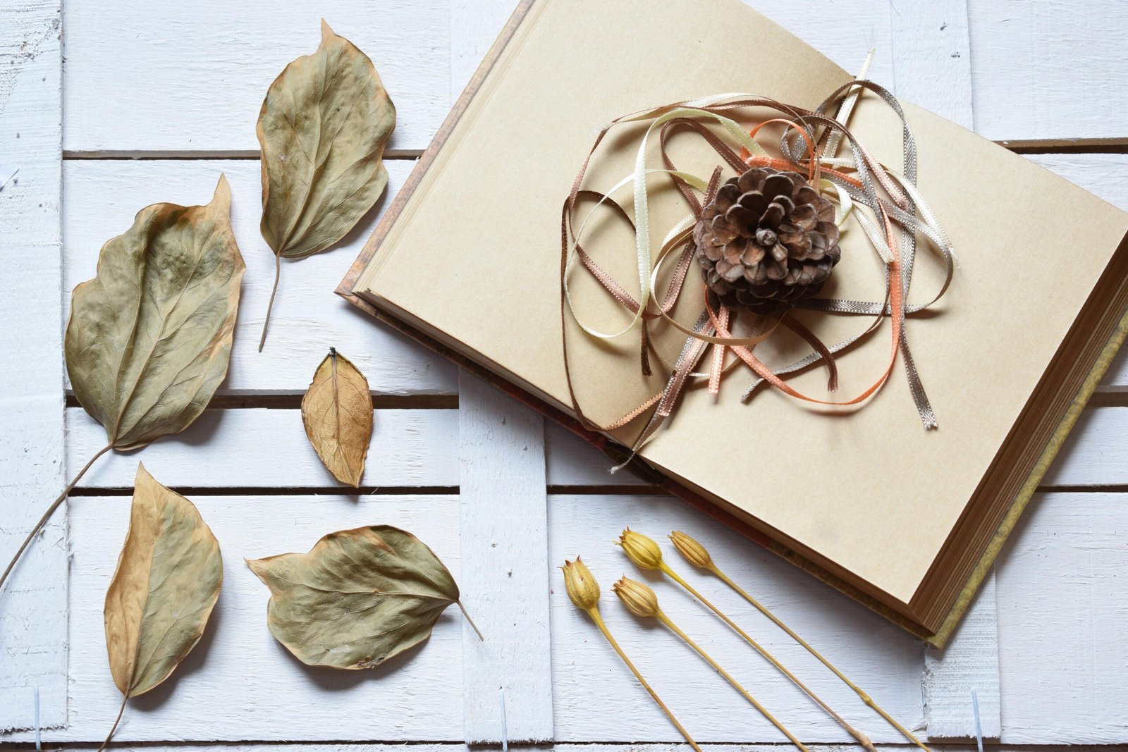 Open traveler's notebook displaying various inserts including a planner, lined journal, and blank pages, styled with pens and stationery to represent customizable organization and creative journaling.
