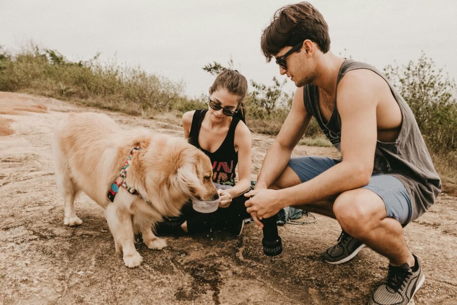 Happy dog drinking water from a collapsible silicone travel bowl on a scenic hiking trail, illustrating essential pet hydration during outdoor adventures.