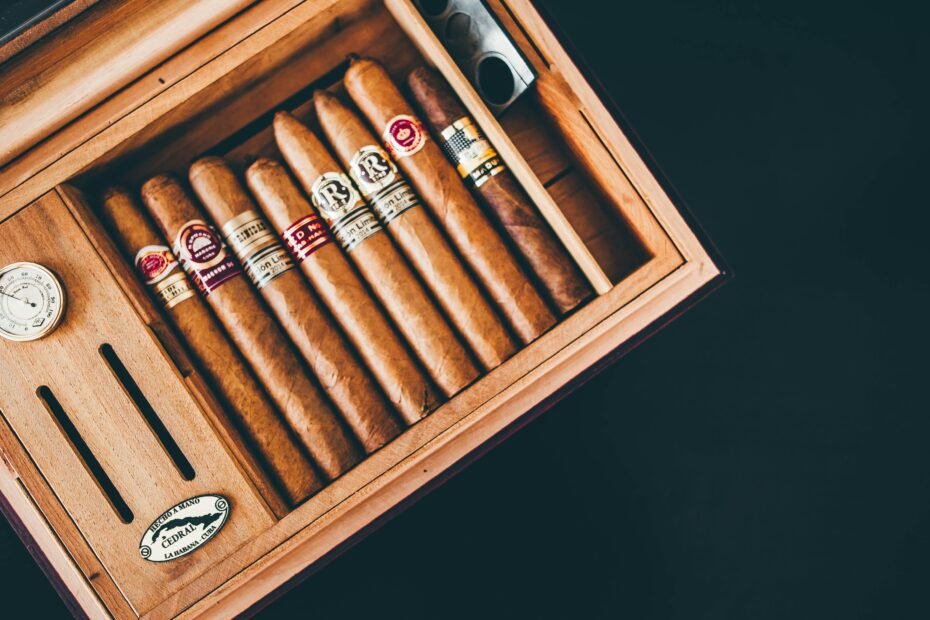 A premium hard-shell travel humidor protecting fresh cigars, placed in a sophisticated travel setting, symbolizing portable protection and luxury for cigar enthusiasts.