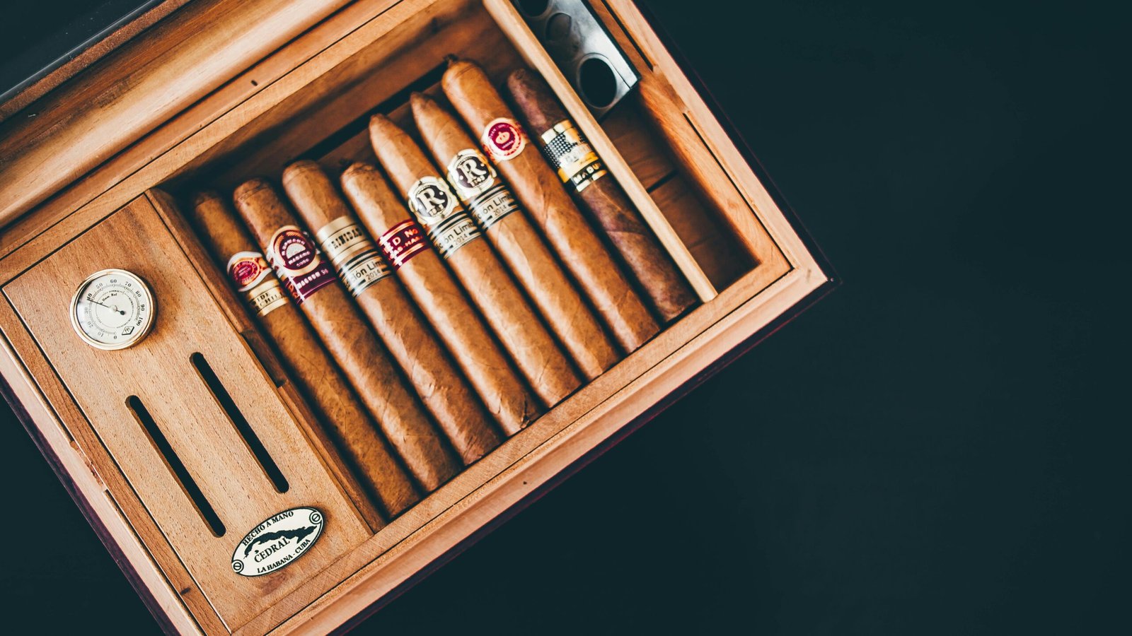 A premium hard-shell travel humidor protecting fresh cigars, placed in a sophisticated travel setting, symbolizing portable protection and luxury for cigar enthusiasts.