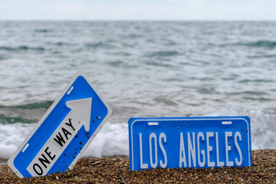 A traveler, possibly a digital nomad or an emigrant, standing with luggage and looking at a vast landscape or city, symbolizing a new life abroad and the peace of mind provided by one way travel insurance.