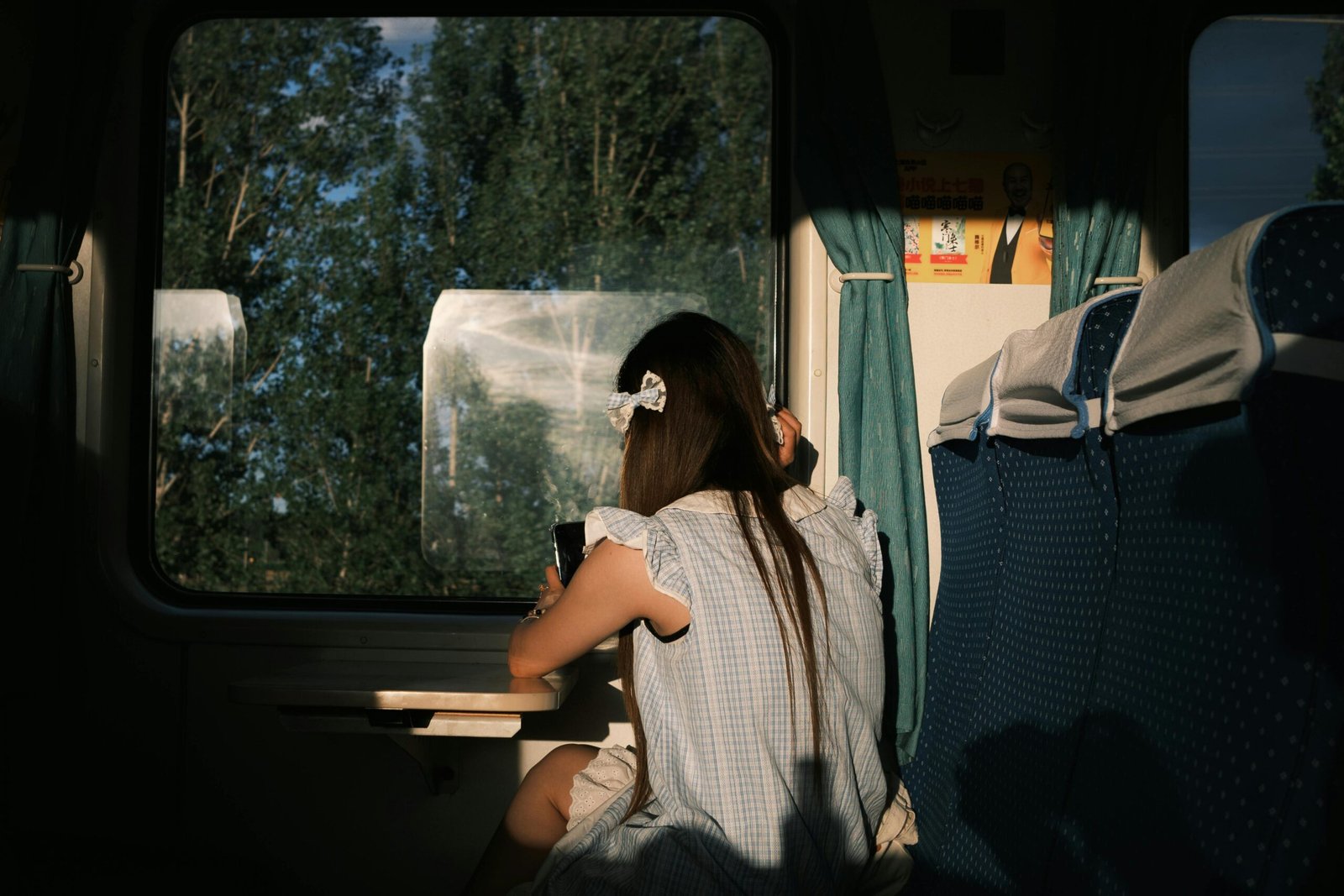 Comfortable Enterprise train traveling through the scenic Irish countryside from Dublin to Belfast, highlighting a relaxing journey with beautiful views.