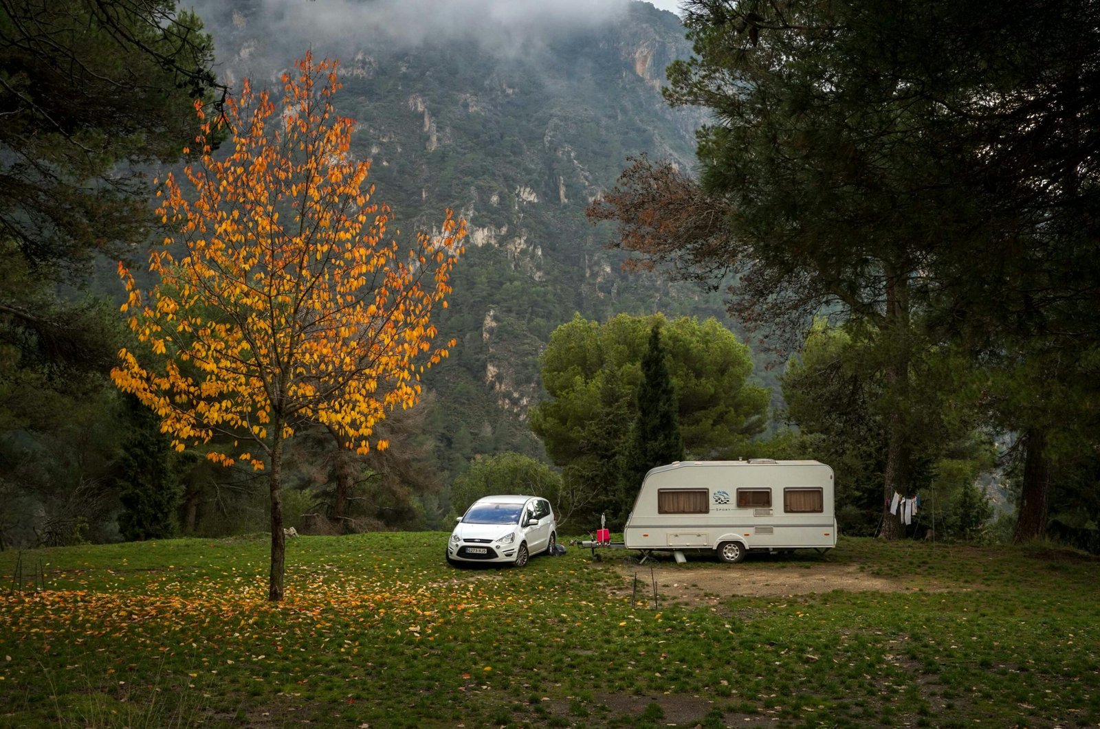 Lightweight travel trailer under 3000 lbs parked in a scenic natural campsite, illustrating easy towing and accessible outdoor adventures for couples or small families.